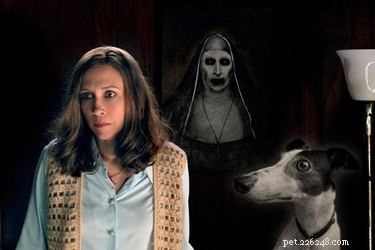 Give Your Dog a Thrilling Twist: 101 Horror Film‑Inspired Names