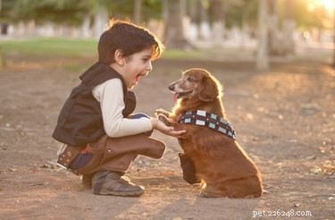 117 Star Wars Dog Names: From Heroes to Villains