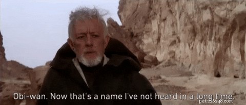 117 Star Wars Dog Names: From Heroes to Villains
