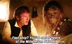 117 Star Wars Dog Names: From Heroes to Villains