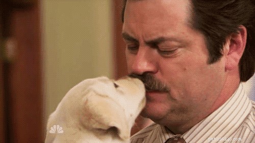 290 Strong & Stylish Hunting Dog Names to Fit Your Loyal Companion