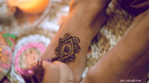 375 Unique Indian & Hindu Dog Names: Inspiring Choices for Your Furry Friend