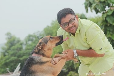 375 Unique Indian & Hindu Dog Names: Inspiring Choices for Your Furry Friend