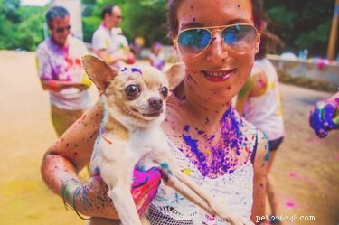 375 Unique Indian & Hindu Dog Names: Inspiring Choices for Your Furry Friend