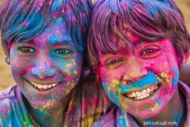 375 Unique Indian & Hindu Dog Names: Inspiring Choices for Your Furry Friend