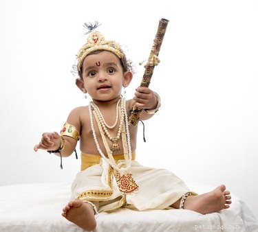 375 Unique Indian & Hindu Dog Names: Inspiring Choices for Your Furry Friend