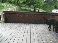 200 Stunning Names for Your Black Dog
