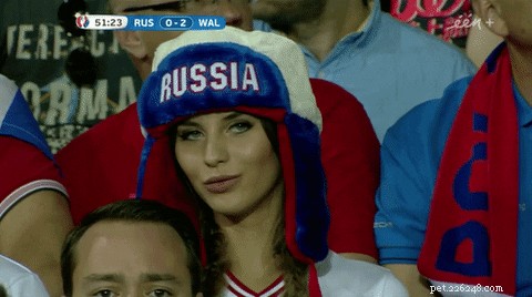125 Authentic Russian Dog Names & Their Meanings