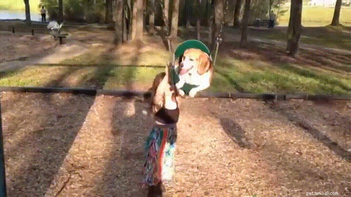 200 Charming & Unique Names for Your Hound Dog