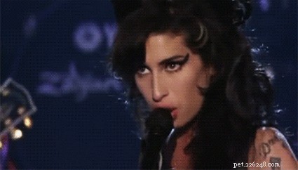 200 Classic British Dog Names to Inspire Your Pup