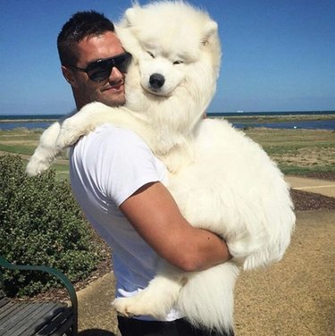 128 Charming Names for Your White Dog