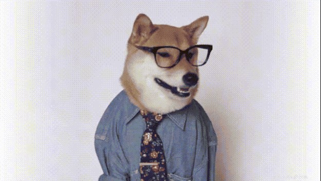 320 Unique Nerdy Names for Your Dog or Cat