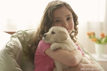 605 Hand‑picked Unique Names for Your Female Dog