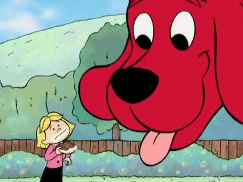 Discover 500 Perfect Names for Your Dog