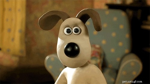 Discover 500 Perfect Names for Your Dog