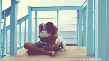 Discover 500 Perfect Names for Your Dog