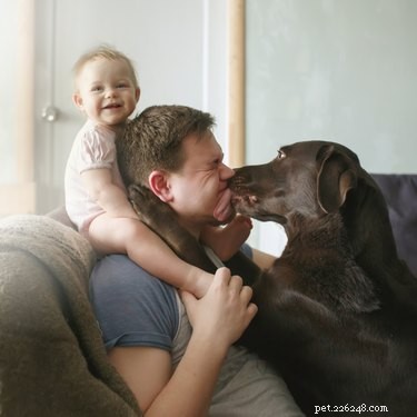 How to Choose the Perfect Dog for Your Lifestyle