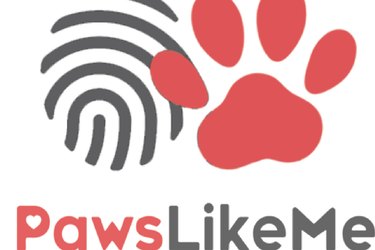 Top Dog Adoption Apps: Find Your Perfect Pup Quickly and Safely