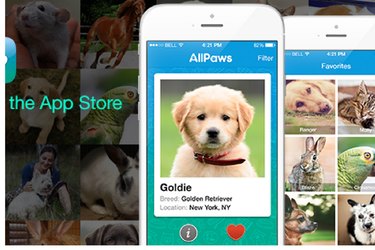 Top Dog Adoption Apps: Find Your Perfect Pup Quickly and Safely