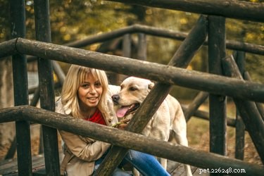 Train Your Dog to Become a Compassionate Therapy Dog: A Step‑by‑Step Guide