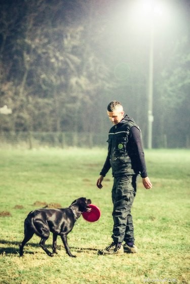 Train Your Dog to Become a Compassionate Therapy Dog: A Step‑by‑Step Guide