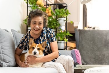 Train Your Dog to Become a Compassionate Therapy Dog: A Step‑by‑Step Guide