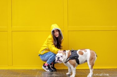 Avoid These 9 Common Dog Training Mistakes for Better Results