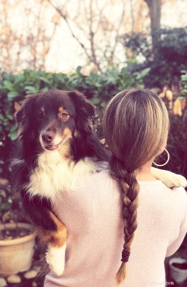 Avoid These 9 Common Dog Training Mistakes for Better Results