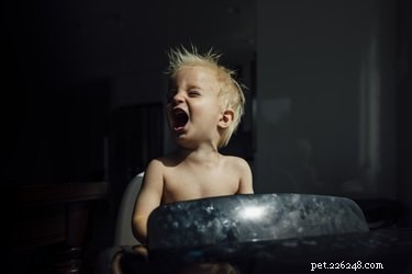 How Punishment Influences Your Dog s Behavior