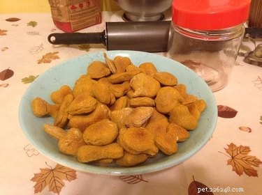 DIY Pumpkin Dog Treats: Healthy, Homemade Recipes for Your Pup
