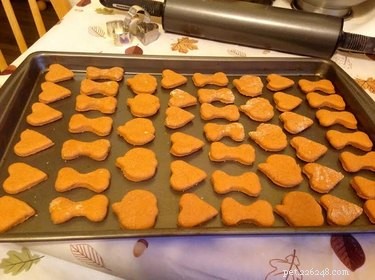 DIY Pumpkin Dog Treats: Healthy, Homemade Recipes for Your Pup
