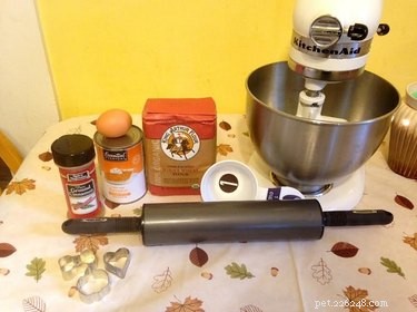 DIY Pumpkin Dog Treats: Healthy, Homemade Recipes for Your Pup