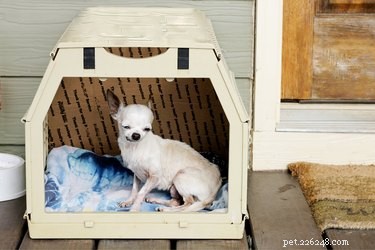 DIY Crate Divider: Create a Perfect Size Space for Your Puppy