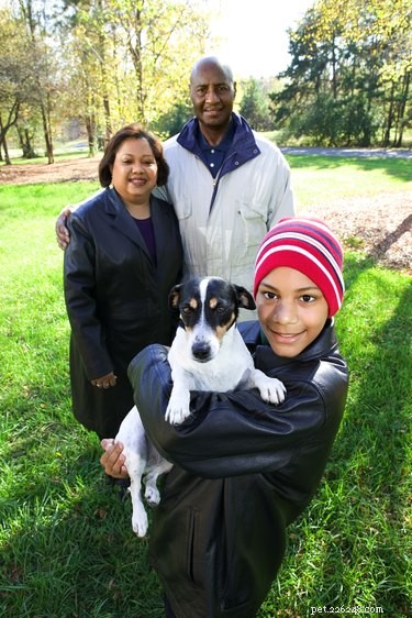 Train Your Jack Russell Mix: Proven Techniques & Tips