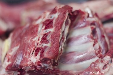 Pork Bones and Dogs: Safety, Risks, and Alternatives