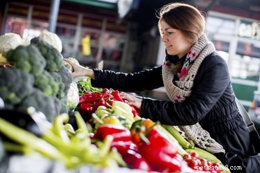 Top Vegetables to Support Diabetes Management in Dogs
