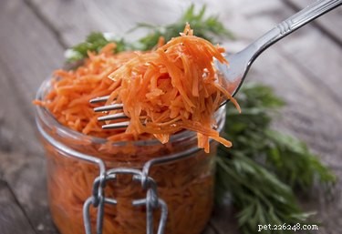 Top Vegetables to Support Diabetes Management in Dogs