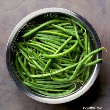 Top Vegetables to Support Diabetes Management in Dogs