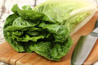 Top Vegetables to Support Diabetes Management in Dogs
