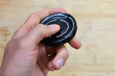 Build Your Own Clicker for Effective Dog Training
