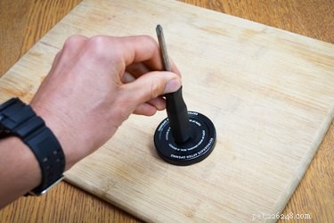 Build Your Own Clicker for Effective Dog Training