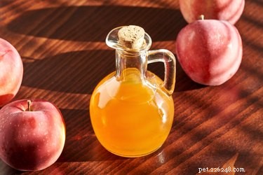 DIY Bitter Apple Spray: Safe, Affordable Chewing Deterrent for Pets