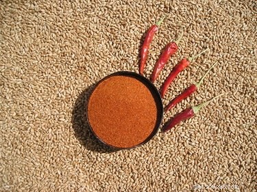 DIY Natural Dog Deterrent: Cayenne Pepper Spray for Safe, Effective Protection