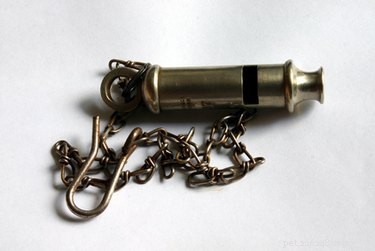 How to Properly Adjust a Dog Whistle for Effective Training