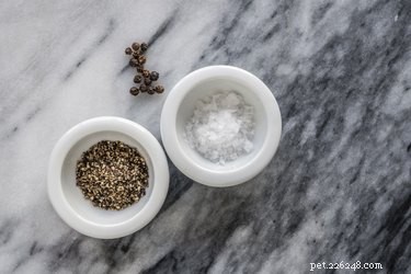 Which Spices Are Dangerous for Dogs? Protect Your Pet