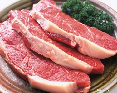 Preventing Dog Bladder Stones: Foods to Avoid