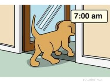 Fast & Effective: Housebreaking Your New Dog in 7 Days