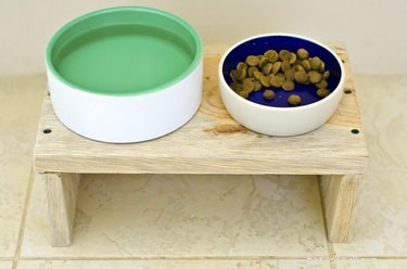 Preventing Your Dog from Tossing Its Water Bowl: Tips & Solutions