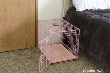 Step‑by‑Step Guide to Positive Crate Training for Your Puppy