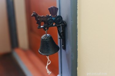 Teach Your Dog to Ring a Bell for Bathroom Breaks – Easy Training Steps